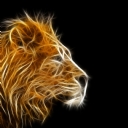 3D Lion