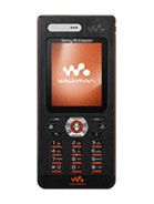 Sony Ericsson W888 aksesuarlar