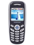 Samsung SGH-X100 aksesuarlar