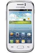 Samsung S6310 Galaxy Young aksesuarlar