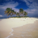 Kum Adas Anguilla