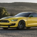 Mustang 4