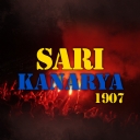 Sar Kanarya 1