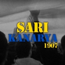 Sar Kanarya 2