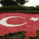Türk Bayrağı 8