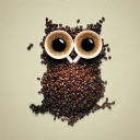 Coffe Bean Owl