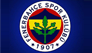 Fenerbahçe cep telefonu kılıfı